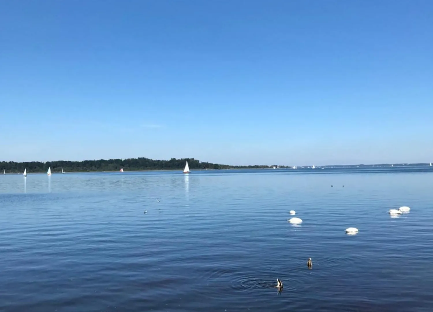 Prázdninový dům Ferienhaus Westerbuchberg Übersee Německo